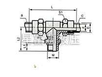 JSW系列鎖母式管接頭（二）